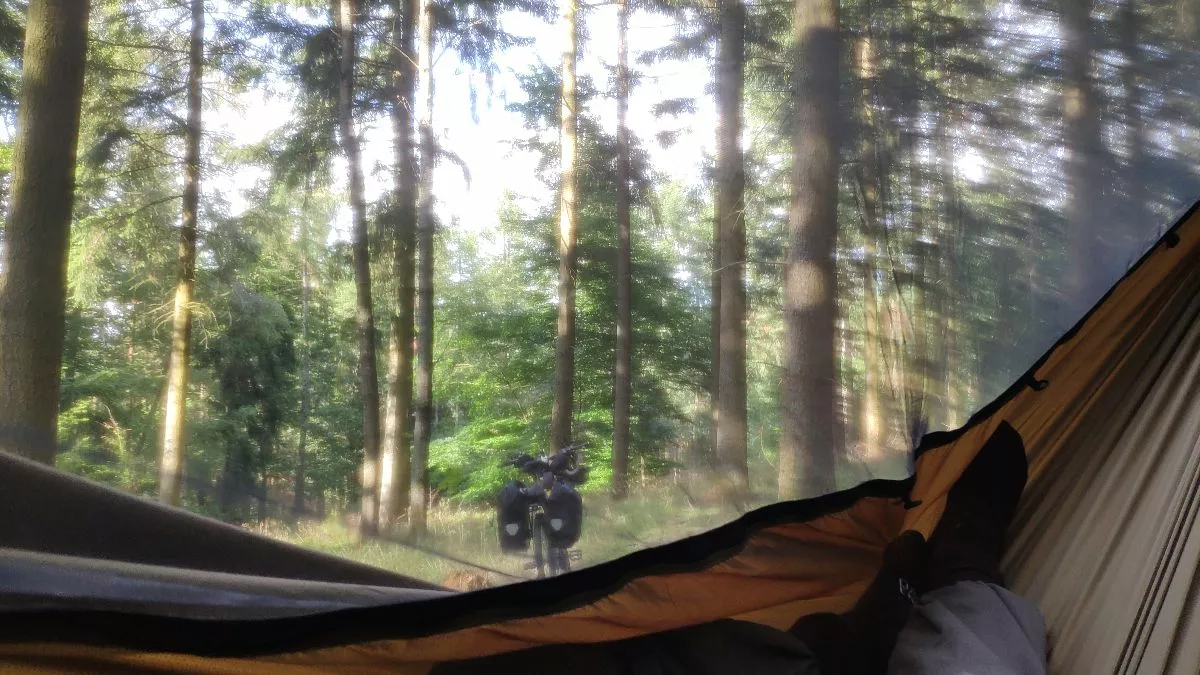 Meindl Softline Lady TOP GTX – Image 3